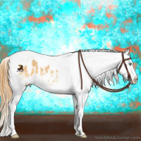 Horse Color:White Spotted Sable Cream Champagne Dun Tobiano Appaloosa 