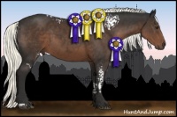 Horse Color:White Spotted Liver Chestnut Mushroom and Liver Chestnut Mushroom