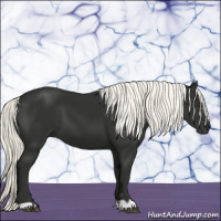 Horse Color:Liver Chestnut Mushroom 