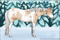 Horse Color:White Spotted Silver Amber Champagne Splash Tobiano Frame