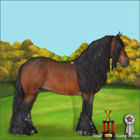 Horse Color:Brown Rabicano  and Brown Rabicano 