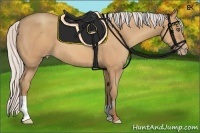 Horse Color:Silver Amber Champagne Frame