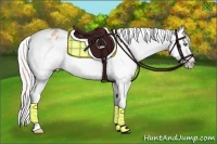 Horse Color:Silver Amber Champagne Splash Frame Appaloosa