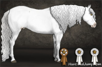 Horse Color:Silver Brown Dun Splash Appaloosa Brindle