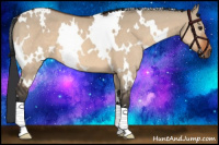 Horse Color:White Spotted Bay Dun