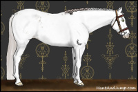 Horse Color:Chocolate Silver Black Sabino Near Leopard 