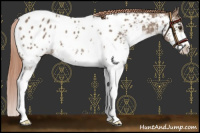 Horse Color:Liver Red Dun Sabino Near Leopard 