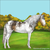 Horse Color:White Spotted Silver Smoky Black Tobiano 