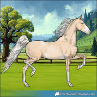 Horse Color:Silver Buckskin Pearl 