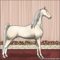 Horse Color:Palomino Pearl