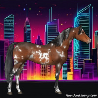 Horse Color:White Spotted Brown Rabicano 