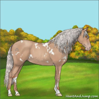 Horse Color:White Spotted Silver Classic Champagne 