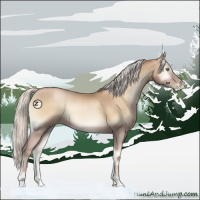 Horse Color:Silver Smoky Blue Onyx Pearl Sabino