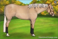 Horse Color:Silver Amber Champagne Roan Frame 