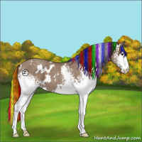 Horse Color:Painted White Spotted Classic Champagne 