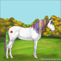 Horse Color:Gray Painted Gold Champagne Roan Dun Tobiano Frame Varnish Rabicano 
