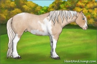 Horse Color:Silver Blue Roan Pearl Tobiano Frame 