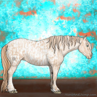 Horse Color:Gold Champagne Pearl Rabicano  and Gold Champagne Pearl Appaloosa Rabicano 