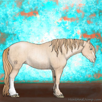 Horse Color:Gold Champagne Pearl Rabicano  and Gold Champagne Pearl Rabicano 