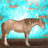 Horse Color:Liver Chestnut Pearl  and Liver Chestnut Pearl 