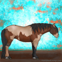 Horse Color:Bay Pearl  and Bay 