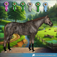 Horse Color:Void Brown Roan Pearl Dun Sabino and Void Brown Roan Pearl Dun Sabino