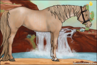 Horse Color:Liver Chestnut Pearl  and Liver Chestnut Pearl 