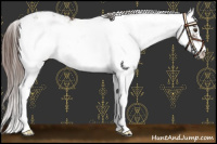 Horse Color:Liver Chestnut Sabino Near Leopard 