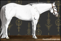 Horse Color:Bay Sabino Appaloosa 