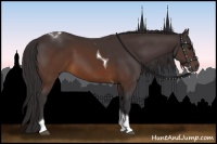 Horse Color:Buckskin Tobiano