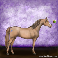 Horse Color:Liver Chestnut Pearl  and Liver Chestnut Pearl 