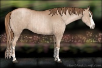 Horse Color:Liver Chestnut Pearl  and Liver Chestnut Pearl Splash 