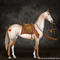 Horse Color:Gray Gold Champagne 
