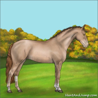 Horse Color:Liver Chestnut Pearl  and Liver Chestnut Pearl 