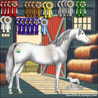 Horse Color:Gray Classic Cream Champagne Splash 
