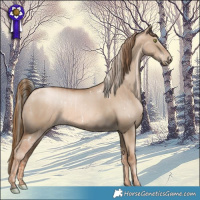 Horse Color:White Spotted Liver Red Dun Pearl Mushroom  and Liver Red Dun Pearl 