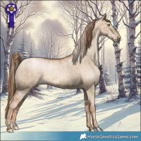 Horse Color:White Spotted Liver Red Dun Pearl Mushroom and Liver Red Dun Pearl