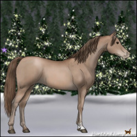 Horse Color:Black Pearl  and Black Pearl 
