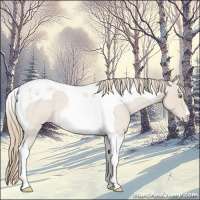 Horse Color:Smoky Creme Roan Tobiano 