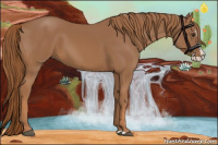 Horse Color:Chestnut Splash 
