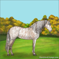 Horse Color:Brown Pearl  and Gray Brown Pearl 