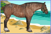 Horse Color:Bay Pearl  and Bay 