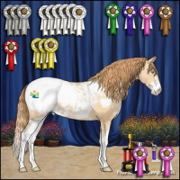 Horse Color:Buckskin Roan Pearl Sabino Snowcap 
