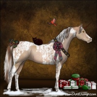 Horse Color:Bay Pearl  and Silver Brown Pearl Tobiano 