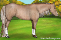 Horse Color:Brown Pearl  and Silver Brown Pearl 
