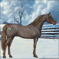 Horse Color:Liver Red Roan 