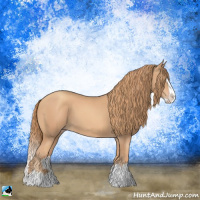 Horse Color:Gold Champagne Splash