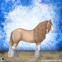 Horse Color:Gold Champagne Splash 