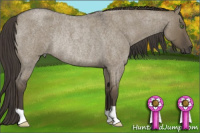 Horse Color:Smoky Grullo Roan Rabicano 