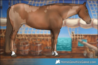 Horse Color:Liver Chestnut Pearl and Gray Liver Chestnut Pearl